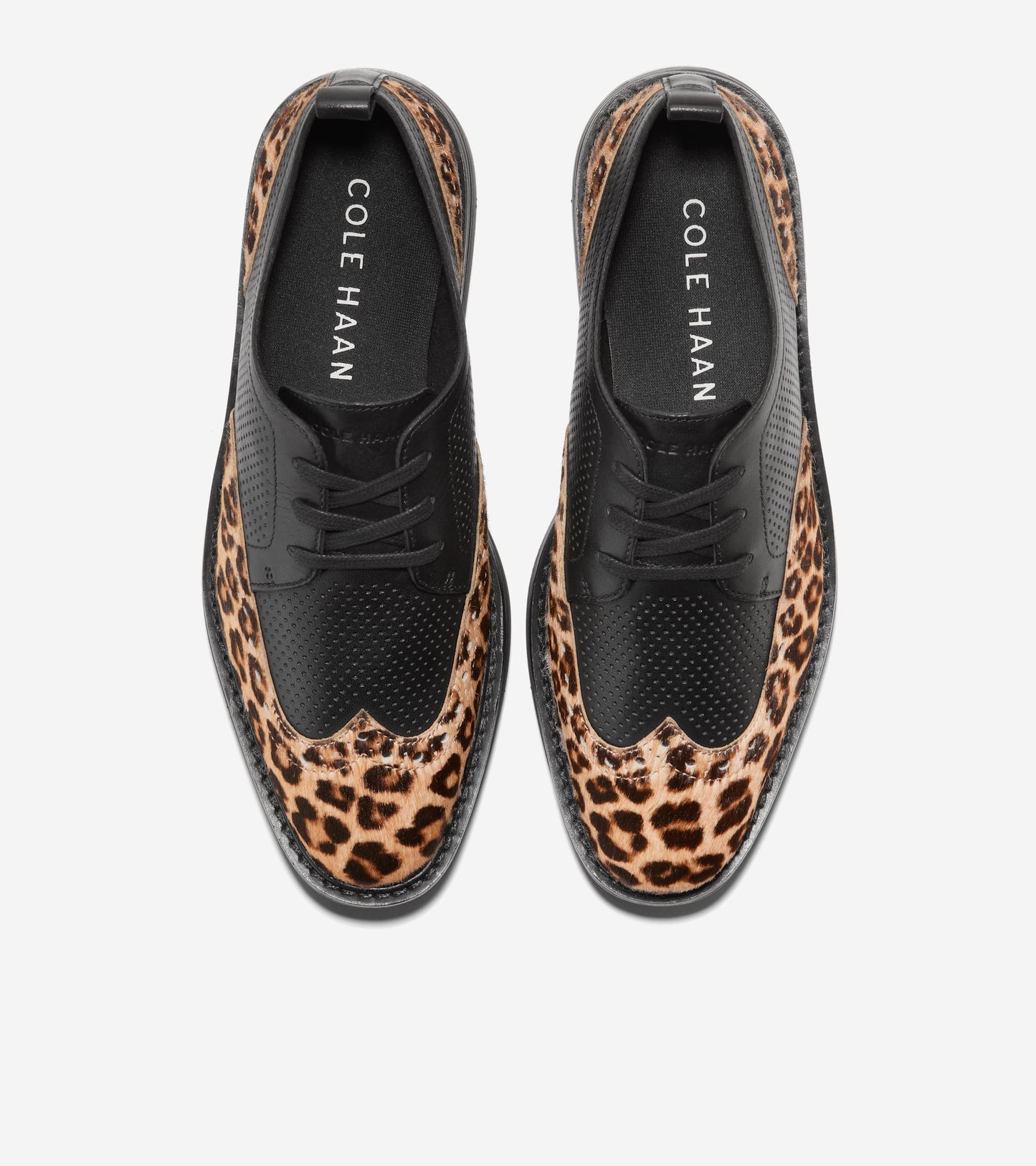 W29769:BLACK/CHEETAH PRINT/BLACK (8086196617463)