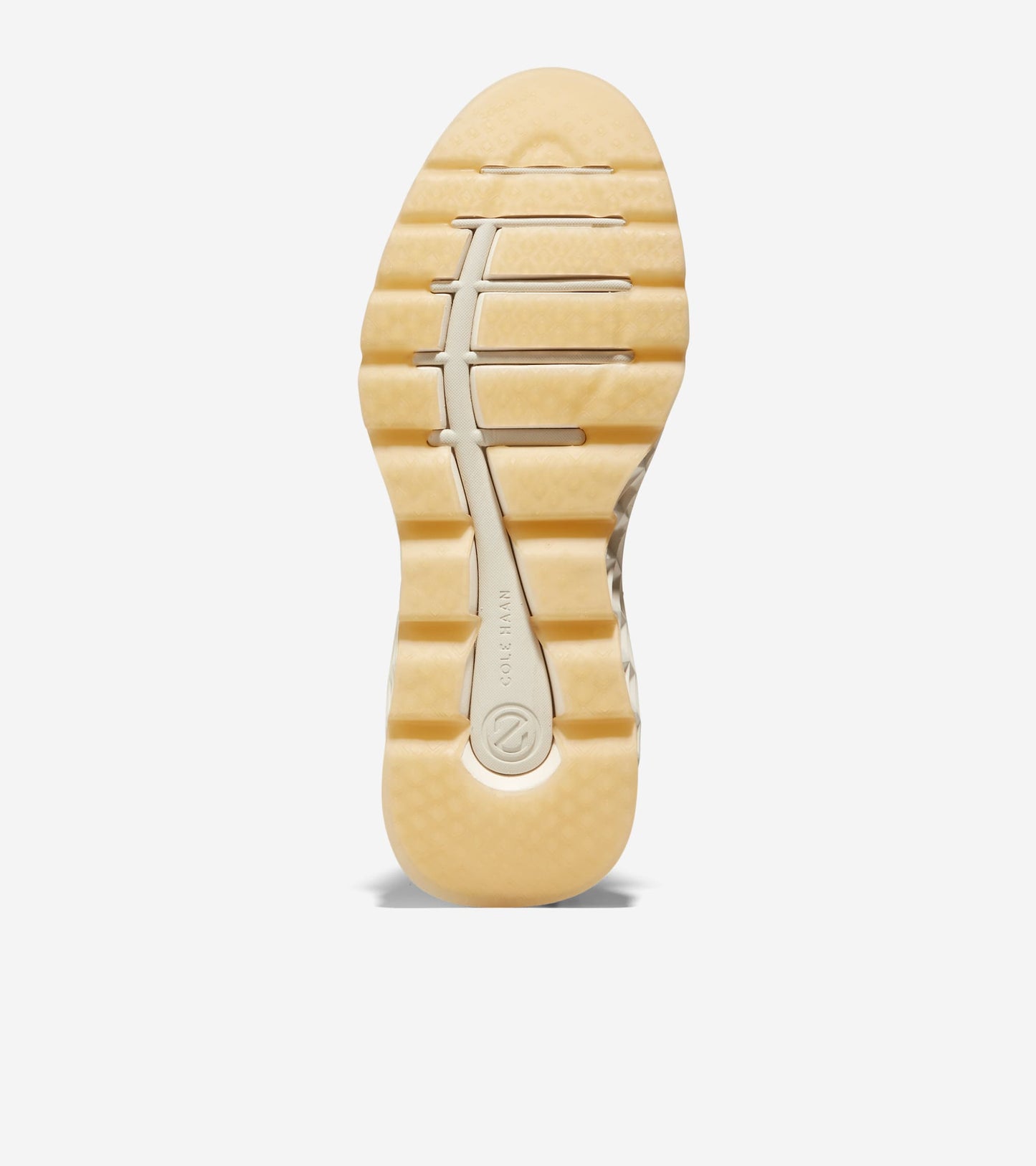 C37573:CH MOREL/SCARAB/IVORY WR (8086195568887)