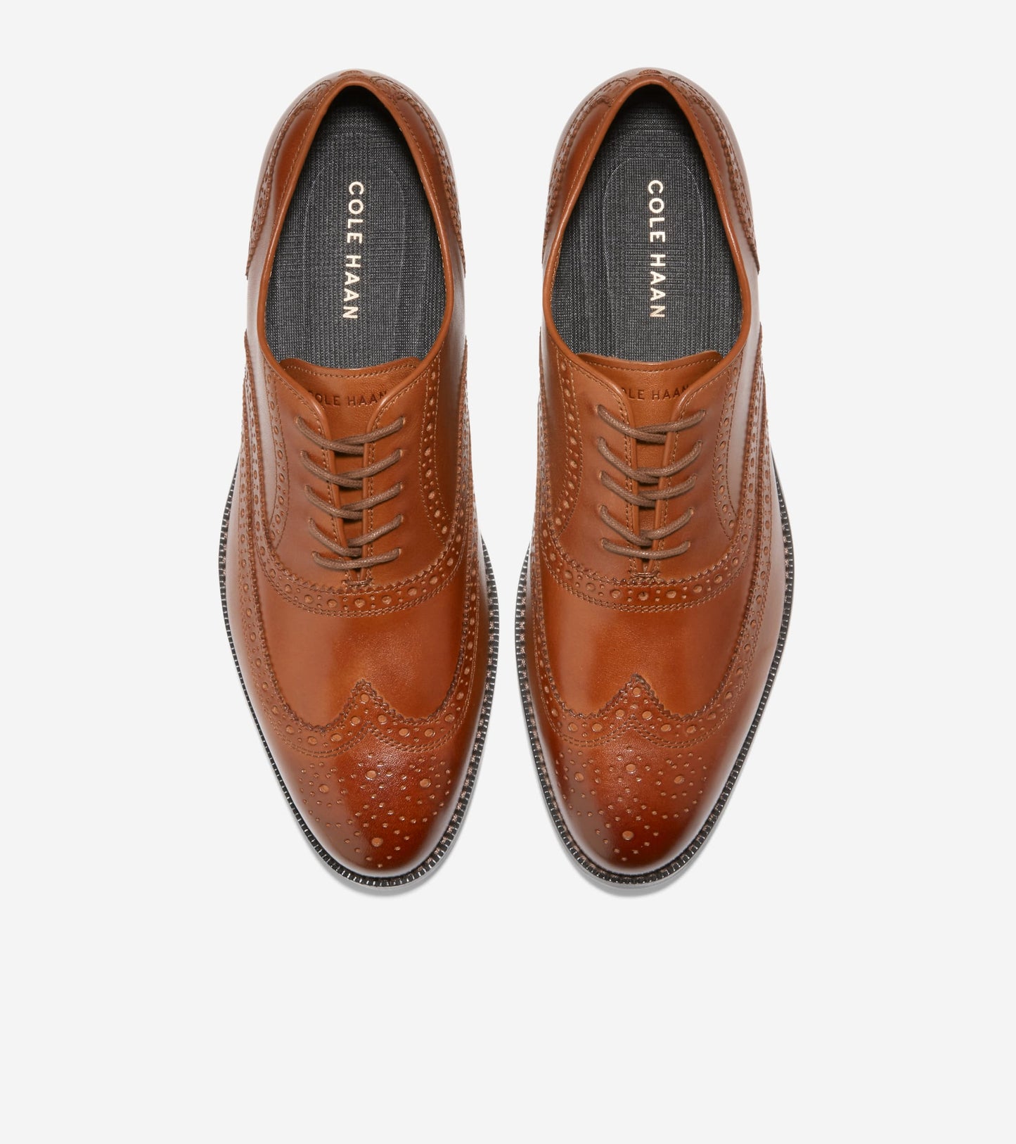 C37617:CH BRITISH TAN/CH DARK CHOCOLATE (8086198649079)