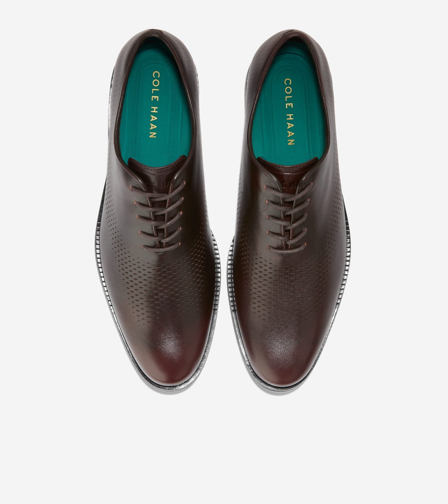 C38320:CH DARK CHOCOLATE REVERSE/BLACK (8086194618615)