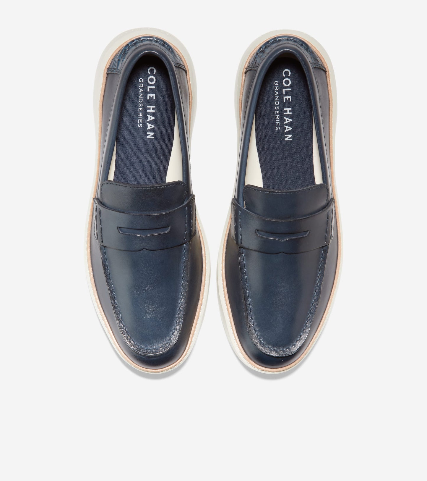 C36645:NAVY INK/IVORY (8086192029943)