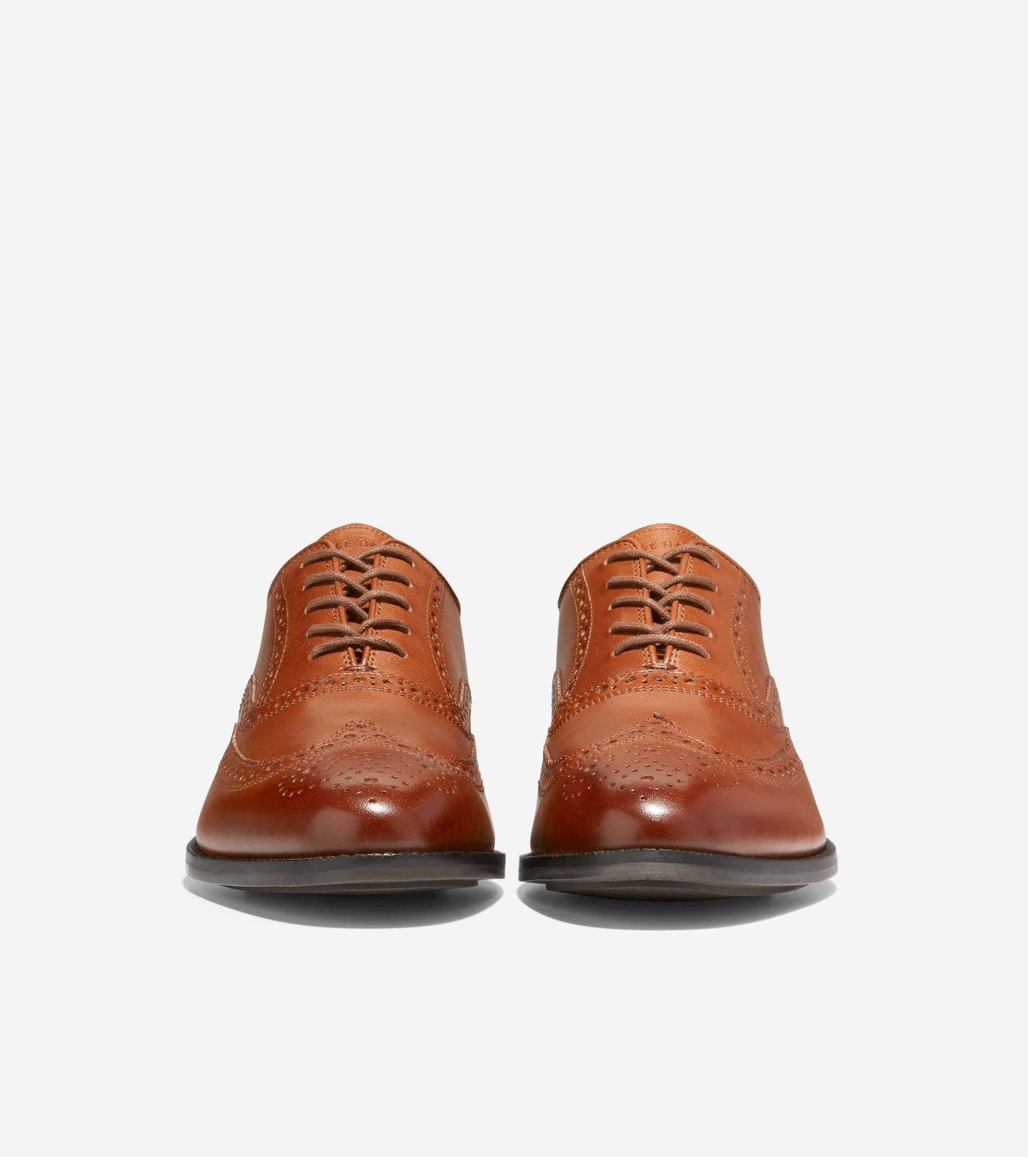 C37617:CH BRITISH TAN/CH DARK CHOCOLATE (8086198649079)