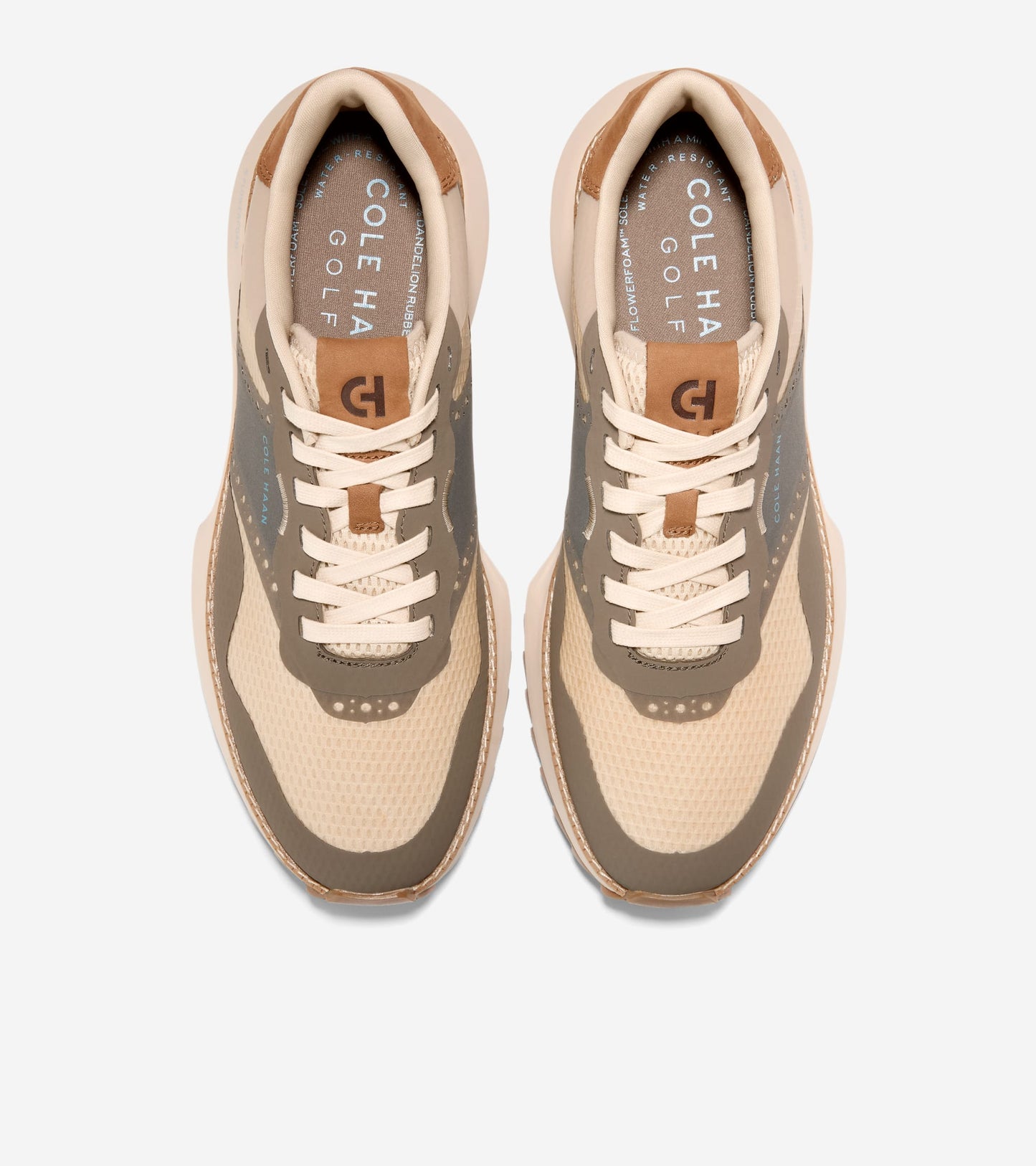 C41193:CH OAT / MOREL / CH OAT WP