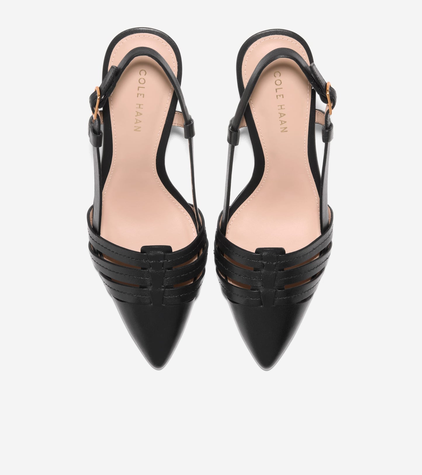 W33331:BLACK LTR