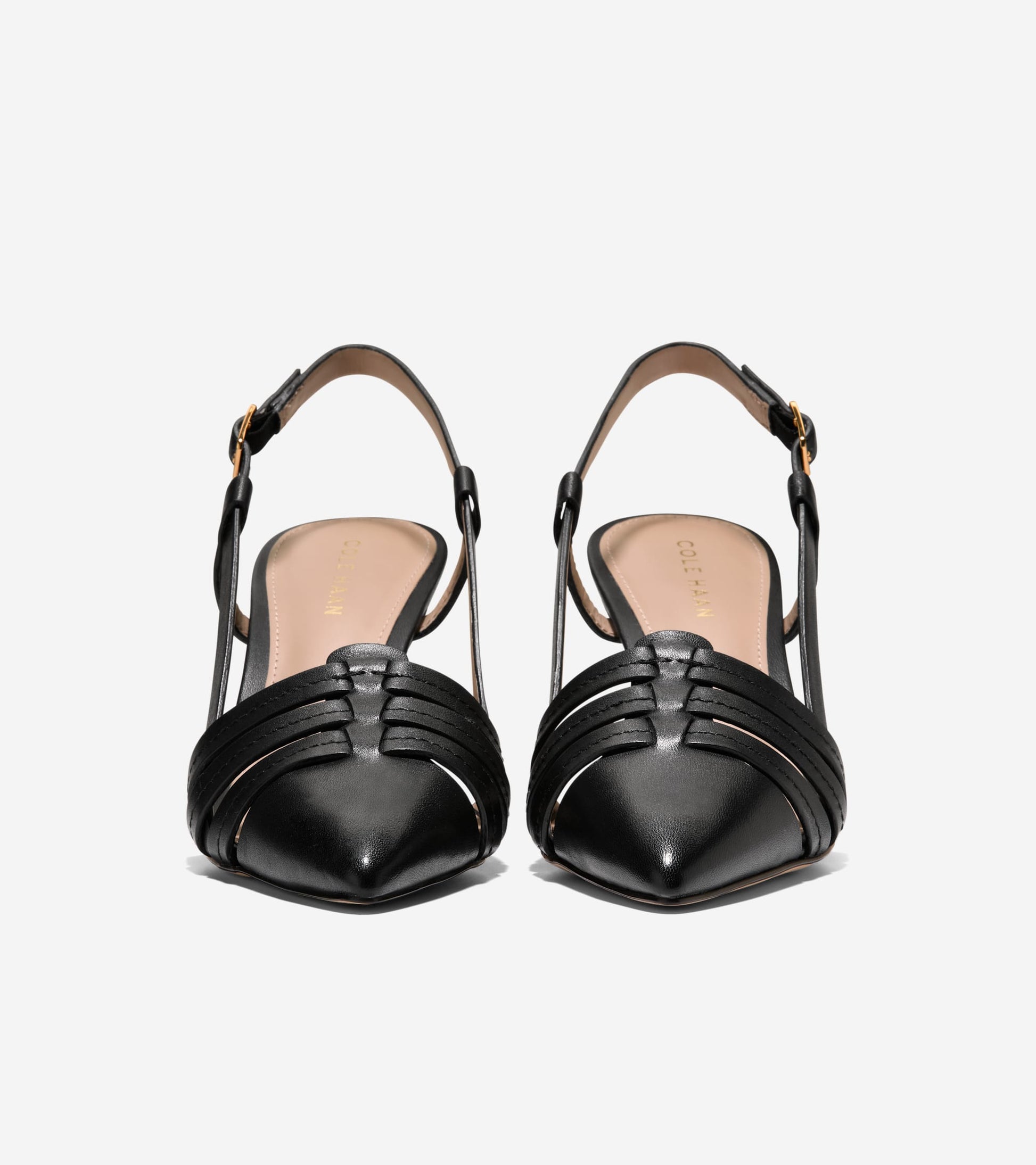 W33331:BLACK LTR