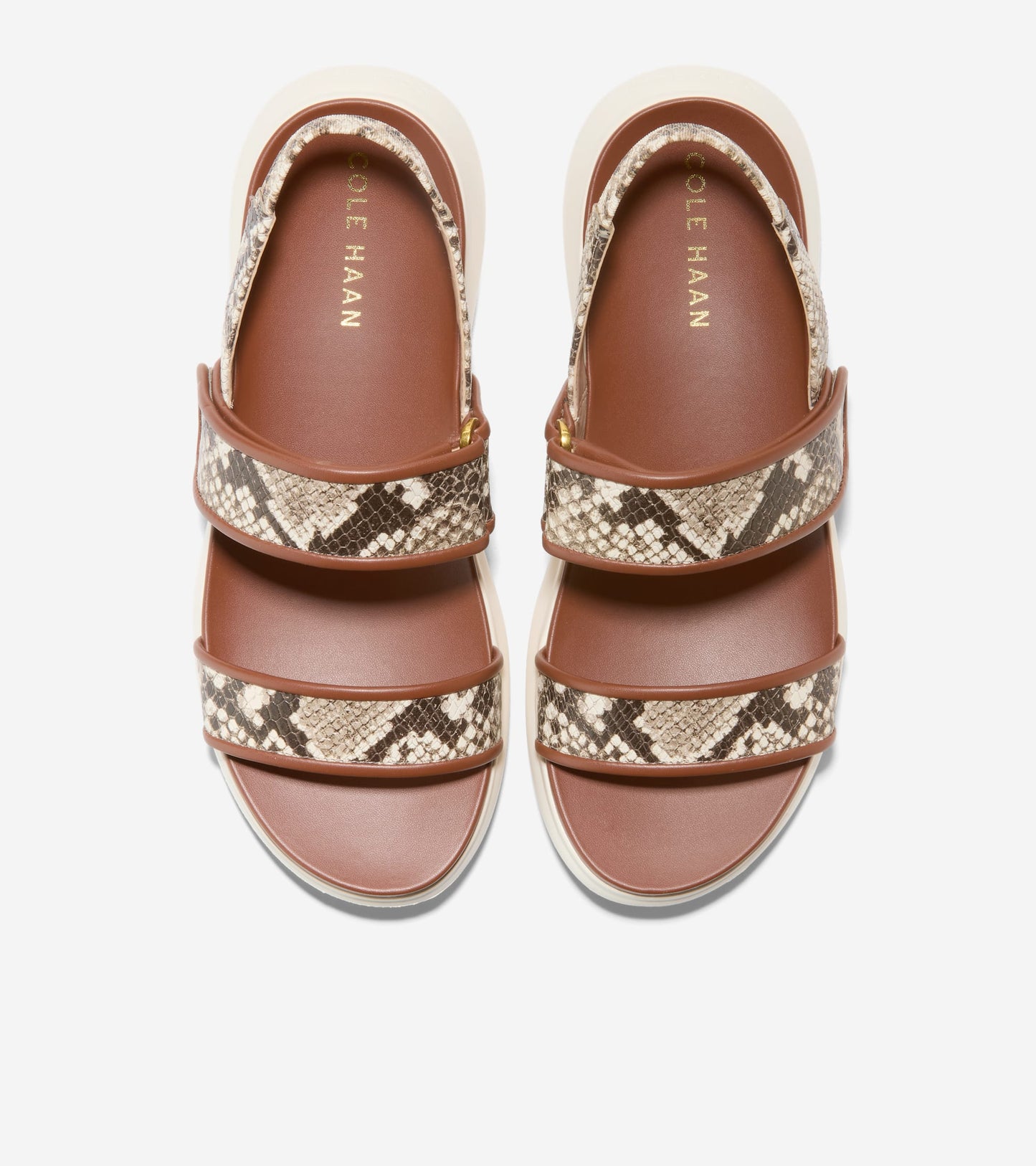 W29752:SANDOLLAR SNAKE PRINT/BIRCH