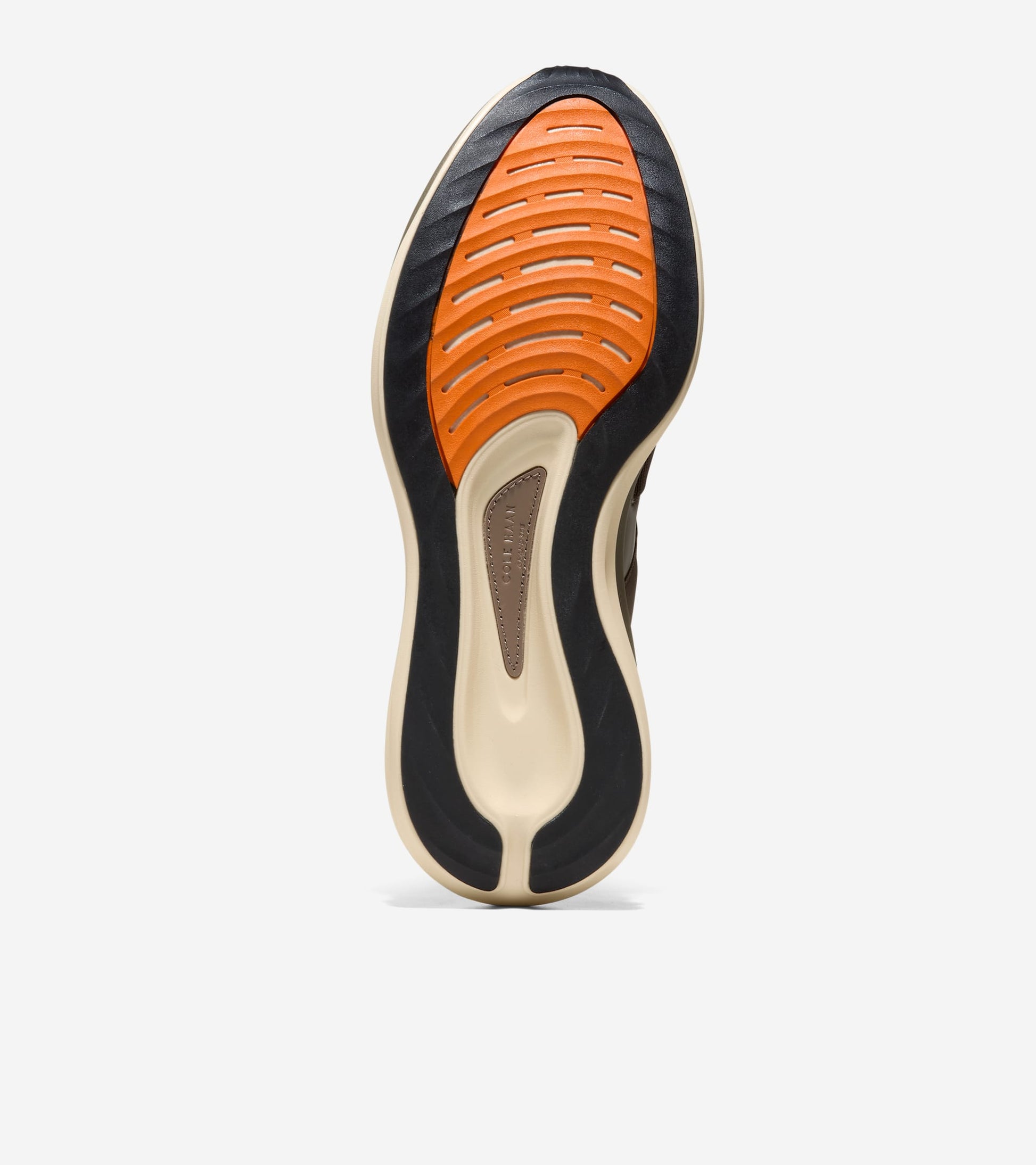 C41241:MOREL / CH IRISH COFFEE / ALABASTER GLEAM