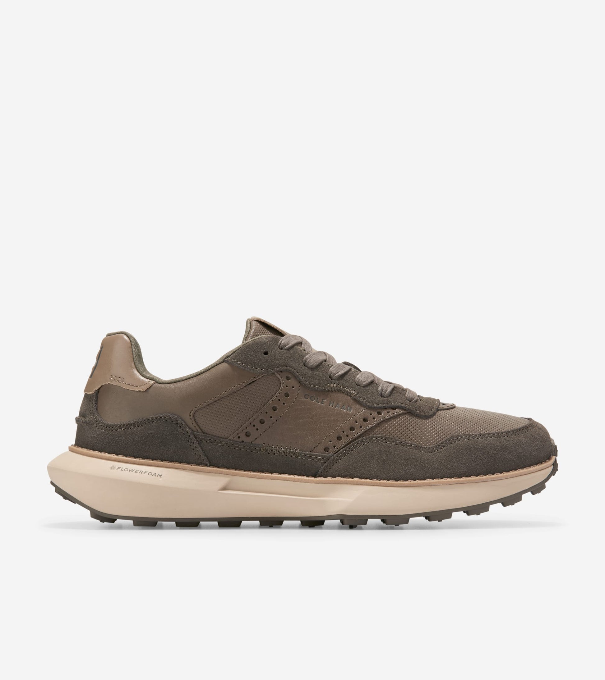 C38474:MOREL/CH DEEP OLIVE/IRISH COFFEE (8086194094327)